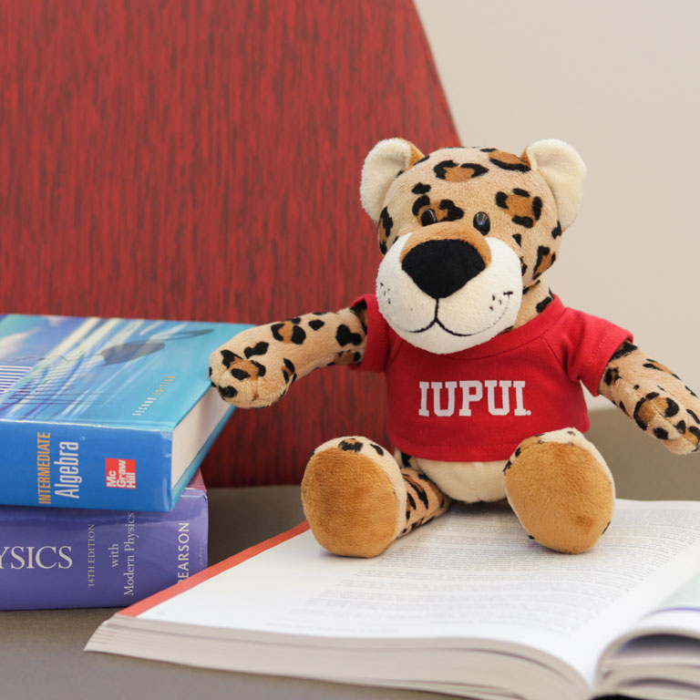 Paws sitting on a stack of books.