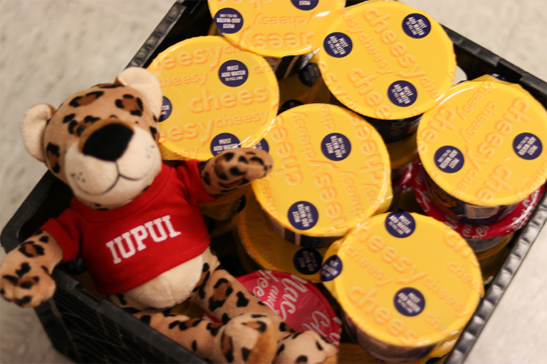 Paws doll with food